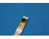 S938C38808 Lenovo YD-69300100072LE P100F POGOPIN FPC_BTB